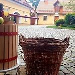 Wellness Statek Kopanina