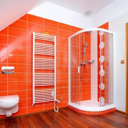 Wellness Statek Kopanina