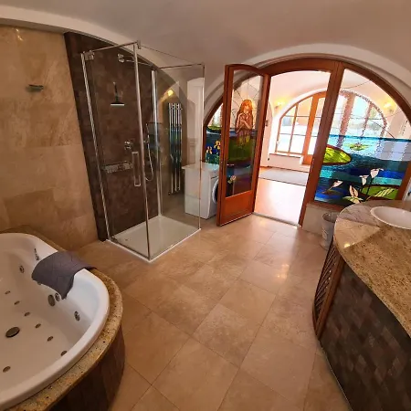 Wellness Statek Kopanina