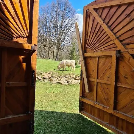 Statek Villa Kopanina